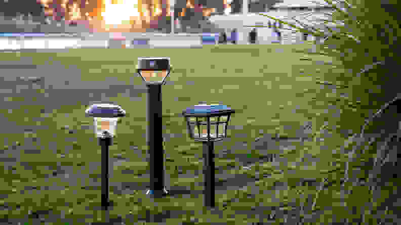 Three outdoor solar lights staked in grass at a park during daylight hours.