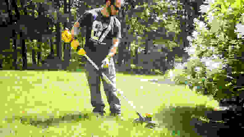 A man in a blue shirt uses a yellow Dewalt weed wacker on a green lawn on a sunny day