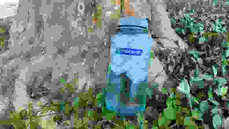 The Nalgene Sustain Tritan sits at a tree stump in green ivy.