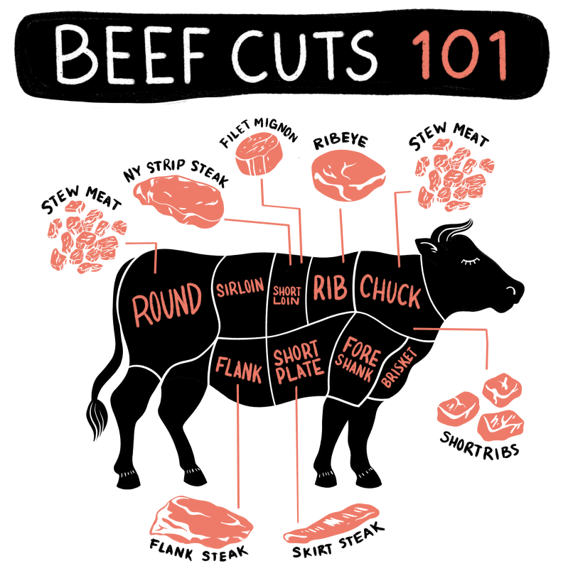 An illustrated infographic of a cow labeled with all the different cuts of beef.