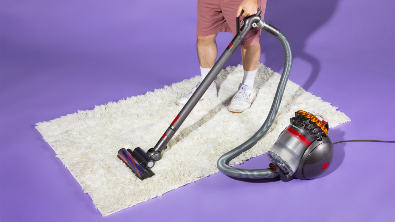 Dyson Big Ball Multifloor cleaning white carpet