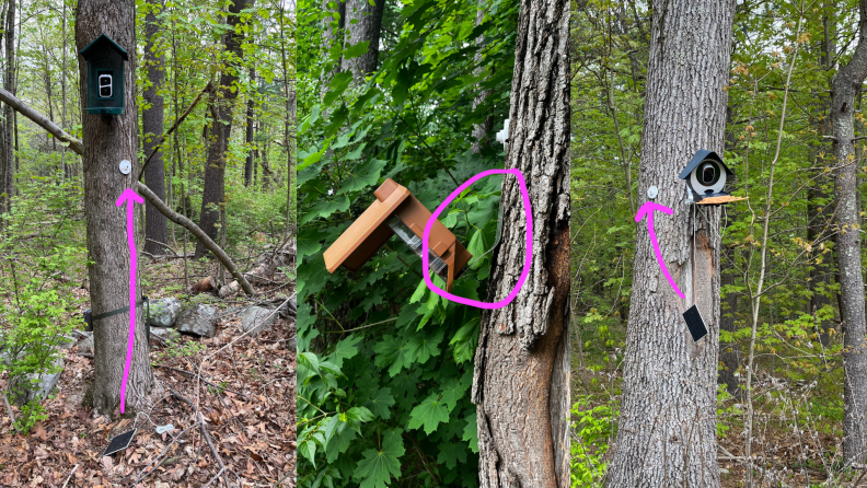 Three smart birdfeeders attached to trees in the woods show damage.