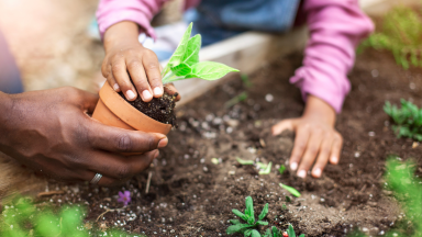 An adult and child garden together.