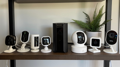 Eight smart security cameras from various brands sitting on a wood shelf with a faux plant in the background