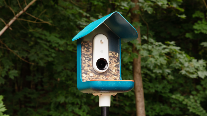 A blue Bird Buddy birdfeeder with a white camera sits on a black pole