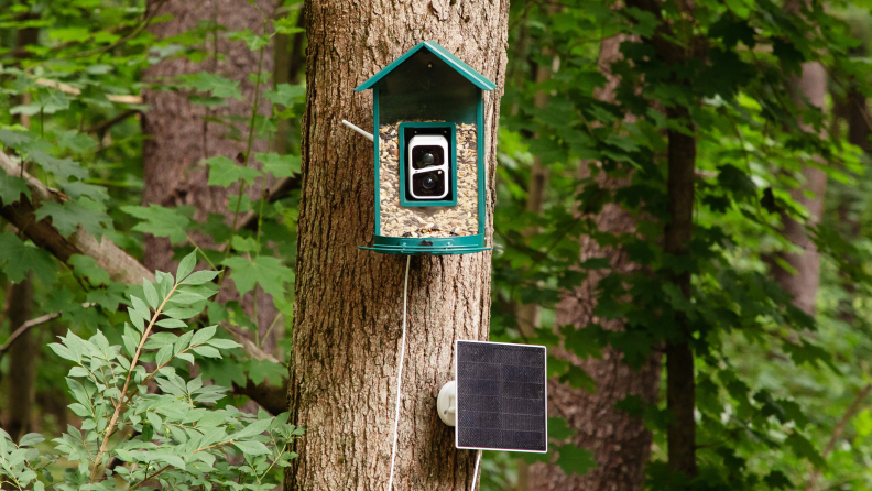 A green Soliom bird feeder is mounted to a tree.