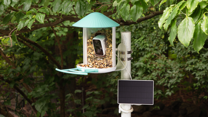 A Netvue Birdfy bird feeder with an aqua roof sits on white pole