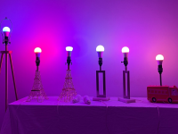 LED smart bulbs are lined up against a purple and pink wall.